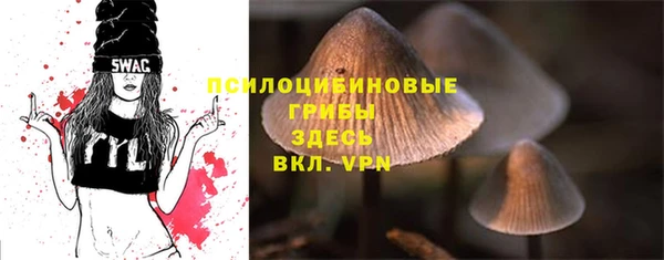 ПСИЛОЦИБИНОВЫЕ ГРИБЫ Богородск