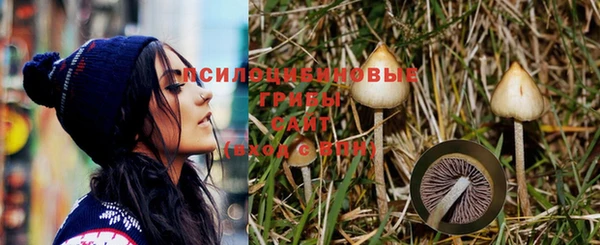 мет Белокуриха