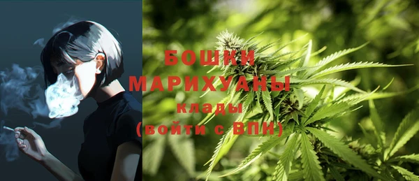 ПСИЛОЦИБИНОВЫЕ ГРИБЫ Богородск