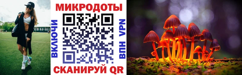 Галлюциногенные грибы GOLDEN TEACHER Медвежьегорск